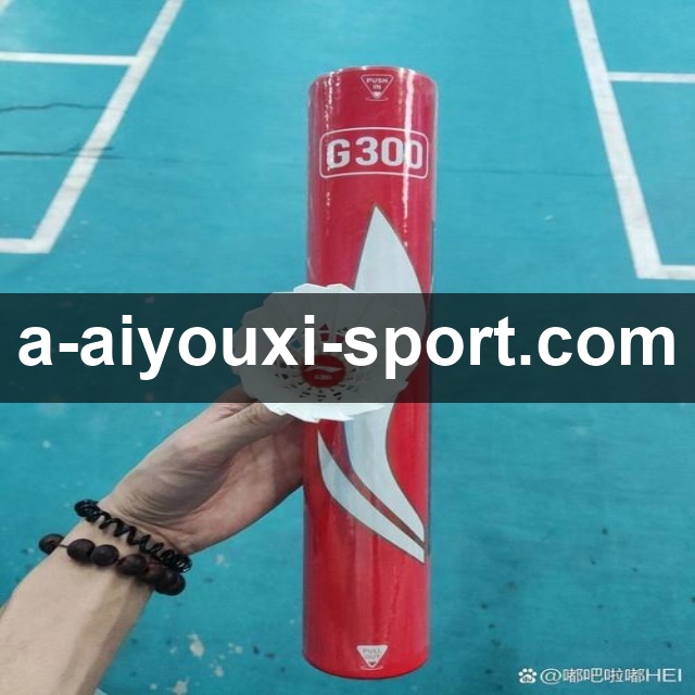 爱游戏体育 精彩赛事