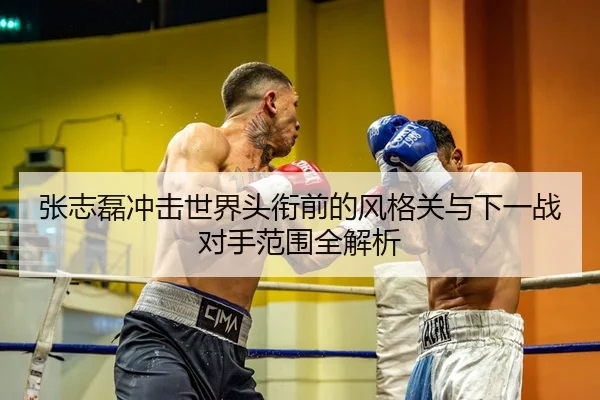 张志磊冲击世界头衔前的风格关与下一战对手范围全解析